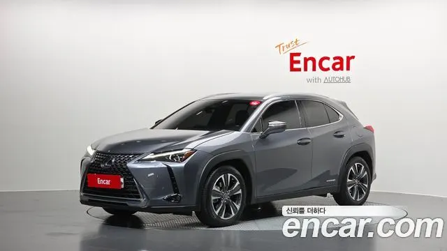 LEXUS UX250H 2019