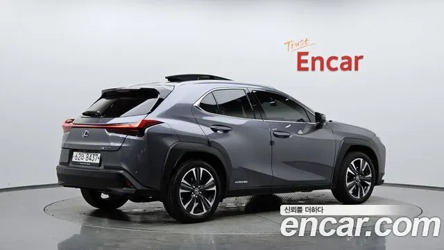 LEXUS UX250H 2019