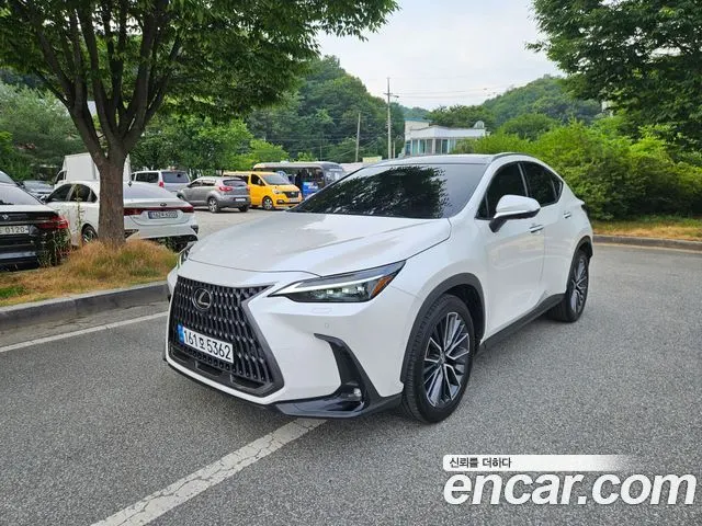 LEXUS NX350H 2024