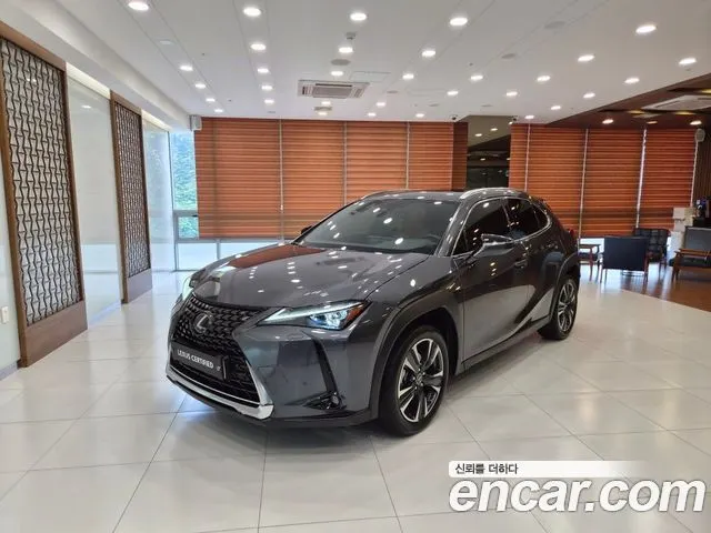 LEXUS UX250H 2024