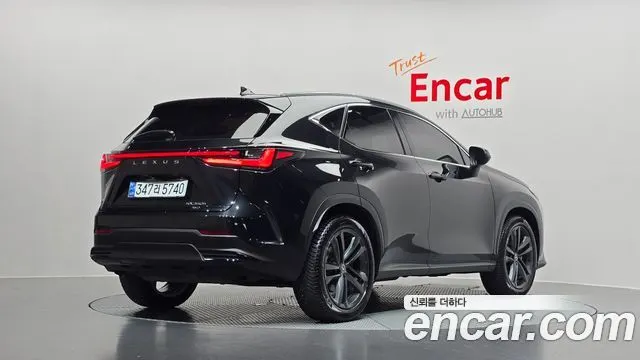 LEXUS NX350H 2024
