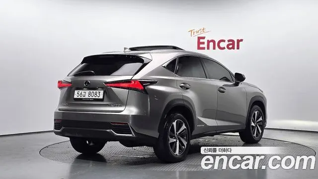 LEXUS NX300H 2019