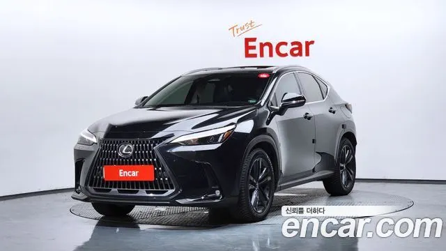 LEXUS NX350H 2024
