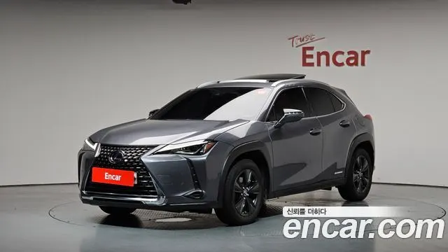 LEXUS UX250H 2019