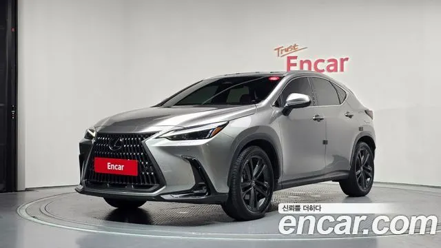 LEXUS NX350H 2024