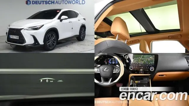 LEXUS NX350H 2025