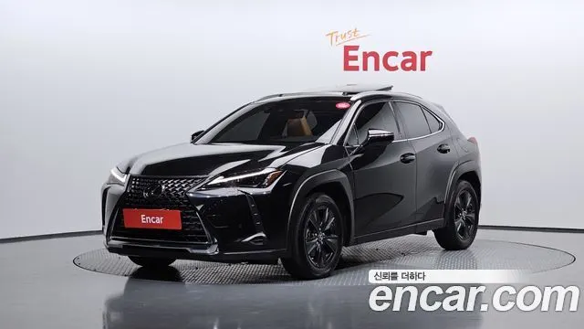 LEXUS UX250H 2024