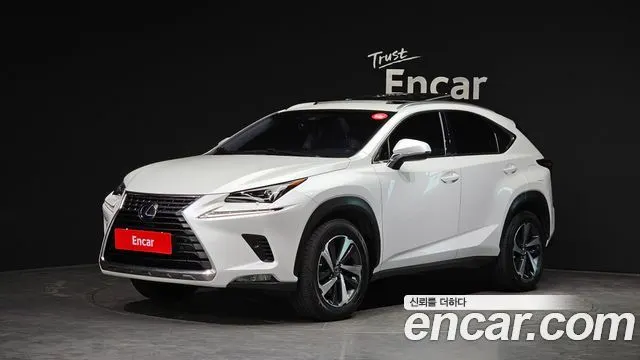 LEXUS NX300H 2019
