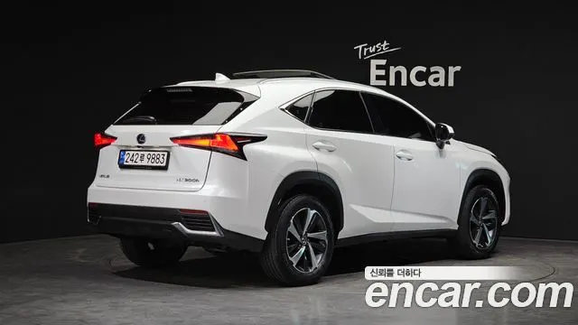 LEXUS NX300H 2019 — 74 860 км, белый, Корея — под ключ — фото 2