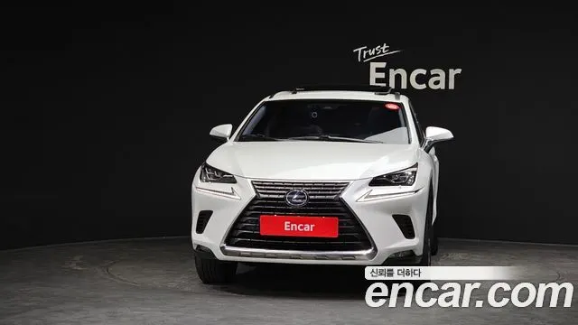 LEXUS NX300H 2019 — 74 860 км, белый, Корея — под ключ — фото 3