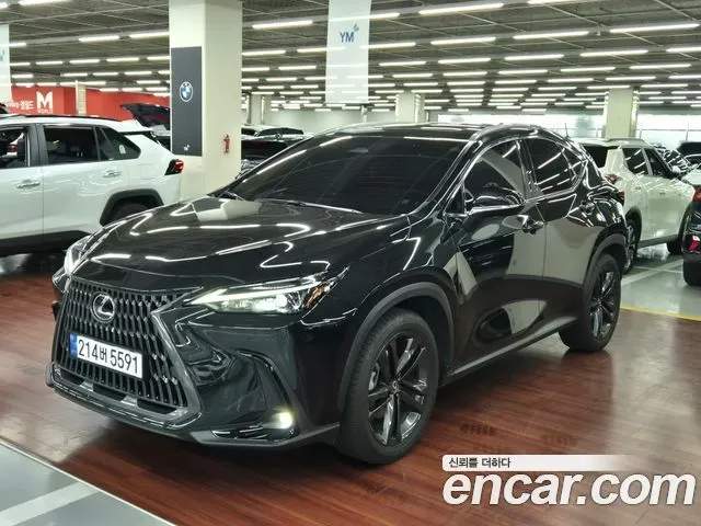 LEXUS NX350H 2025