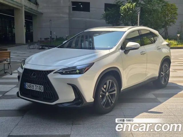 LEXUS NX350H 2025