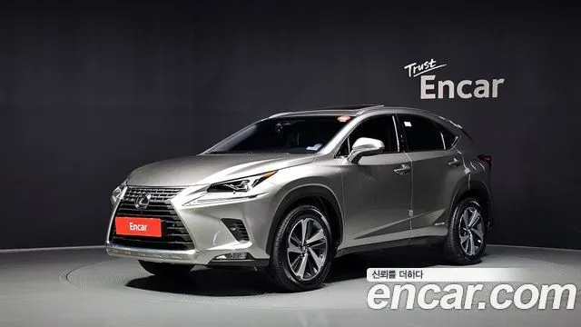 LEXUS NX300H 2019