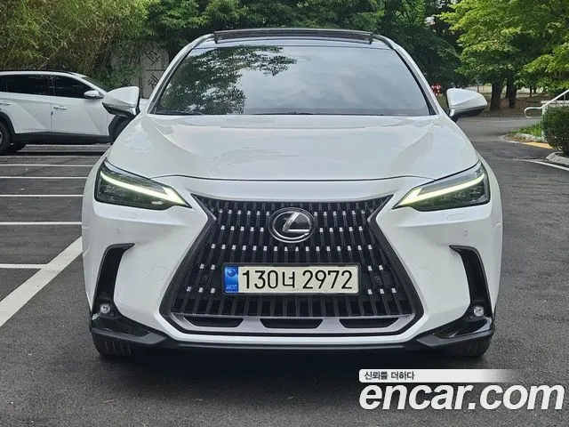 LEXUS NX350H 2024 — 50 526 км, белый, Корея — под ключ — фото 12