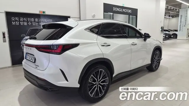 LEXUS NX350H 2025 — 3 924 км, белый, Корея — под ключ — фото 2