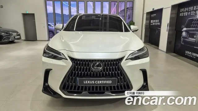 LEXUS NX350H 2025 — 3 924 км, белый, Корея — под ключ — фото 3