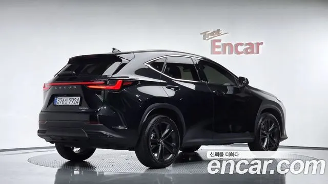 LEXUS NX350H — из Кореи под ключ