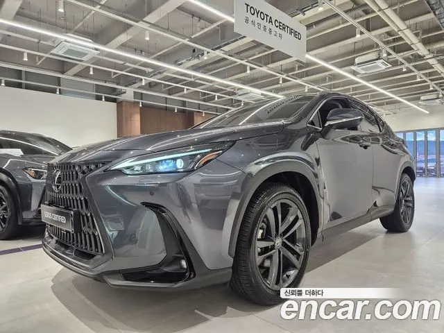 LEXUS NX350H 2025 — 4 223 км, серебристо-серый, Корея — под ключ — фото 12