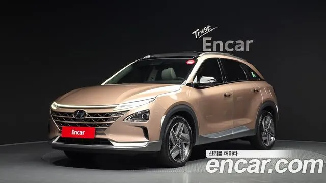HYUNDAI NEXO 2021 — 90 404 км, коричневый, Корея — под ключ — фото 1