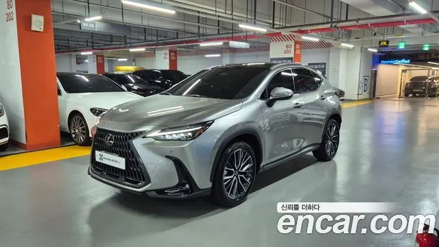 LEXUS NX350H 2026 — 5 150 км, светло-золотистый, Корея — под ключ — фото 11