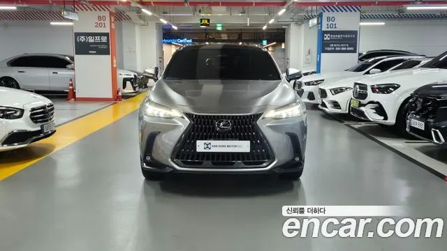 LEXUS NX350H 2026 — 5 150 км, светло-золотистый, Корея — под ключ — фото 3