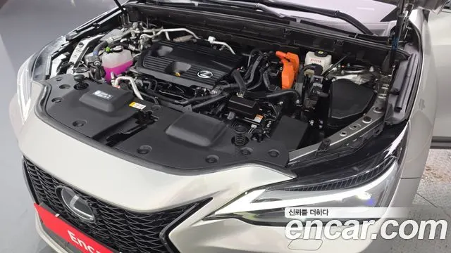 LEXUS NX450H+ 2025 — 20 071 км, серебристо-серый, Корея — под ключ — фото 6