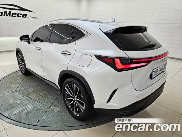LEXUS NX350H 2025 — 7 302 км, белый, Корея — под ключ — фото 4