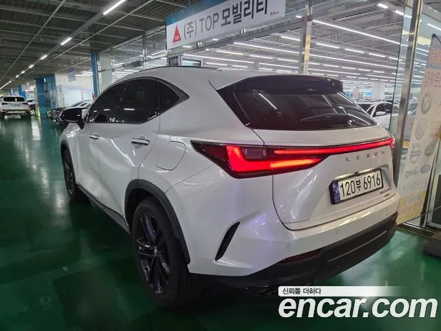 LEXUS NX350H 2024 — 9 337 км, белый, Корея — под ключ — фото 2