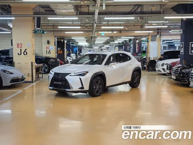 LEXUS UX300H — из Кореи под ключ