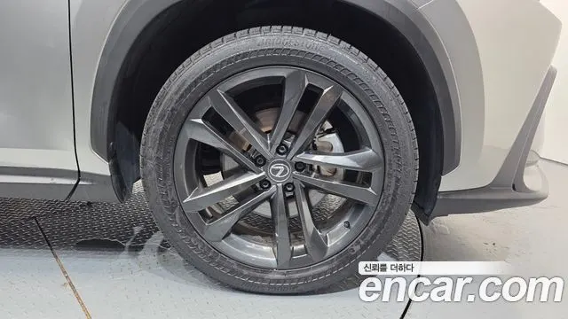 LEXUS NX350H 2025 — 26 785 км, серебристо-серый, Корея — под ключ — фото 5