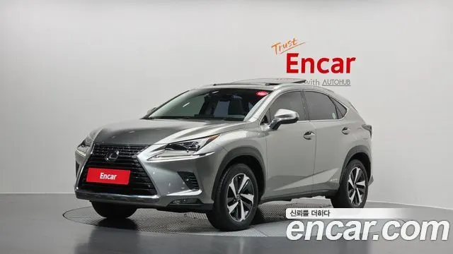 LEXUS NX300H 2021 — 56 131 км, серебристый, Корея — под ключ — фото 1