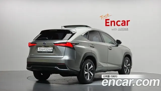 LEXUS NX300H 2021 — 56 131 км, серебристый, Корея — под ключ — фото 2