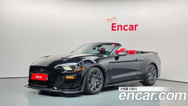 FORD MUSTANG 2019