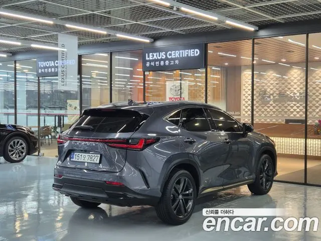 LEXUS NX350H 2025 — 46 870 км, серый, Корея — под ключ — фото 2