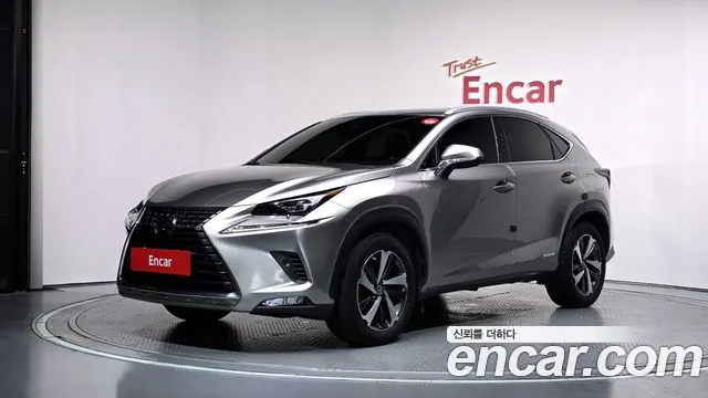 LEXUS NX300H 2020 — 48 384 км, светло-золотистый, Корея — под ключ — фото 1