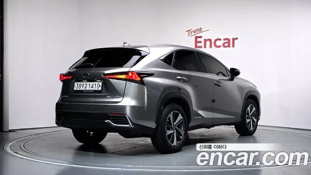 LEXUS NX300H 2020 — 48 384 км, светло-золотистый, Корея — под ключ — фото 2