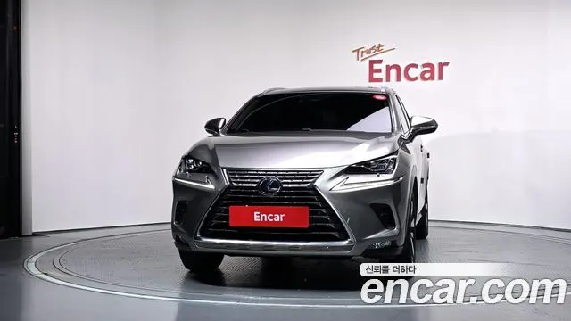 LEXUS NX300H 2020 — 48 384 км, светло-золотистый, Корея — под ключ — фото 3