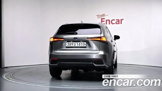LEXUS NX300H 2020 — 48 384 км, светло-золотистый, Корея — под ключ — фото 4