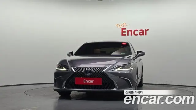 LEXUS ES300H 2019 — 202 228 км, серый, Корея — под ключ — фото 3