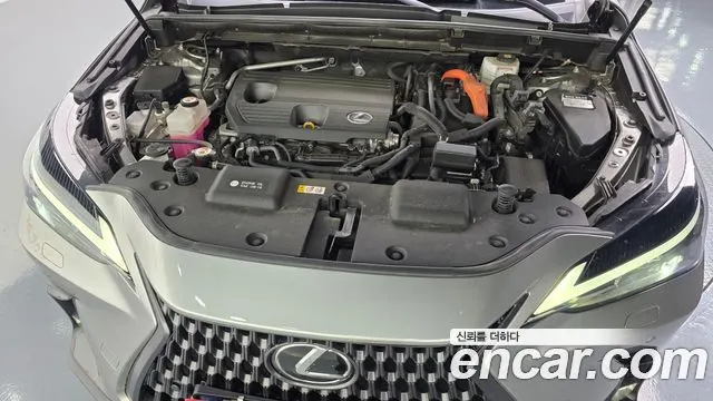 LEXUS NX350H 2024 — 35 916 км, светло-золотистый, Корея — под ключ — фото 6
