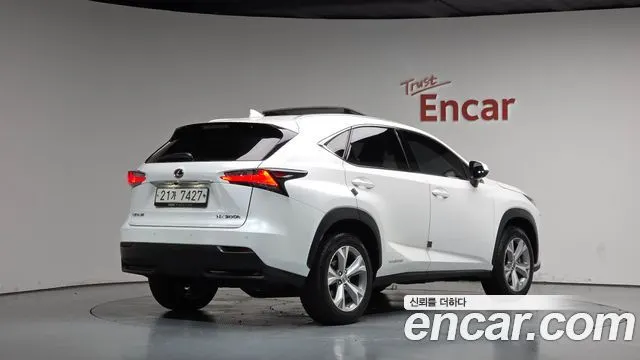 LEXUS NX300H 2017