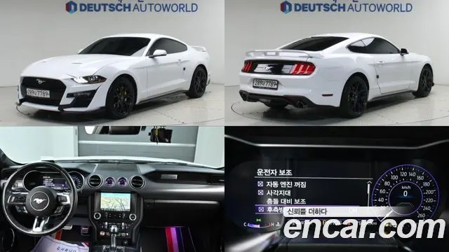 FORD MUSTANG 2019