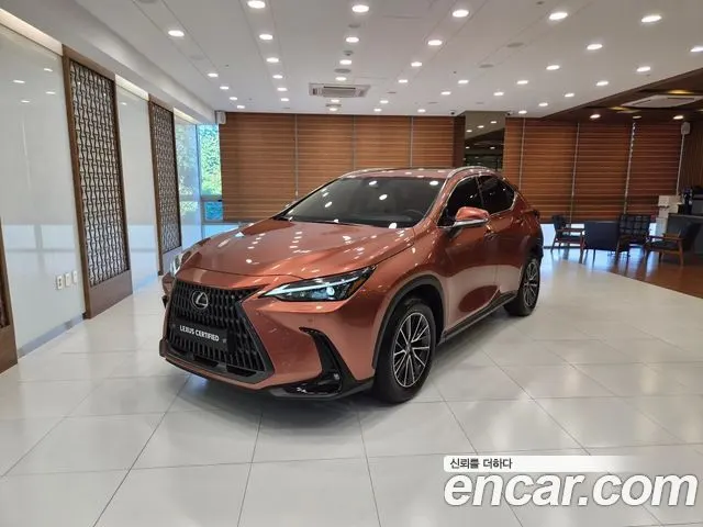 LEXUS NX450H+ 2025 — 5 200 км, оранжевый, Корея — под ключ — фото 11