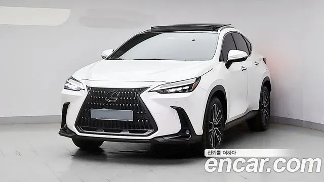 LEXUS NX350H 2024 — 18 135 км, Корея — под ключ — фото 1