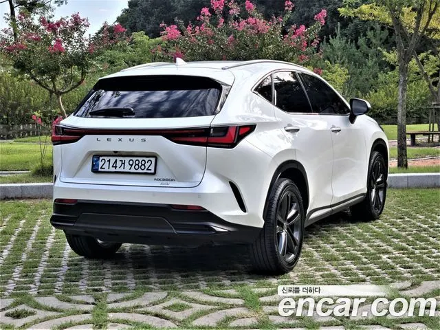 LEXUS NX350H 2025 — 14 700 км, белый, Корея — под ключ — фото 2