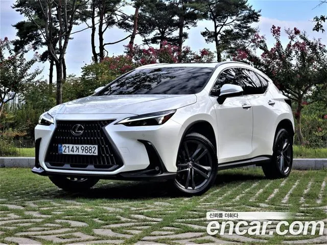 LEXUS NX350H 2025 — 14 700 км, белый, Корея — под ключ — фото 11