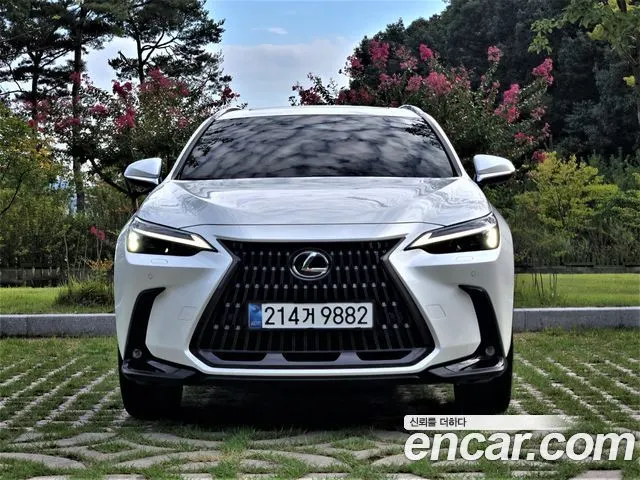 LEXUS NX350H 2025 — 14 700 км, белый, Корея — под ключ — фото 3