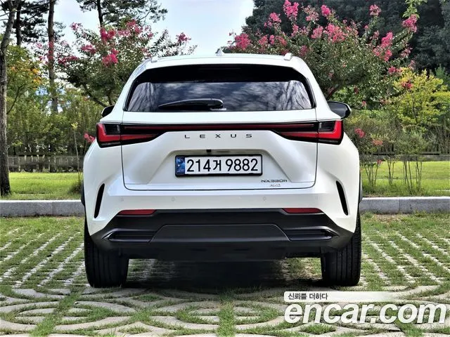 LEXUS NX350H 2025 — 14 700 км, белый, Корея — под ключ — фото 4