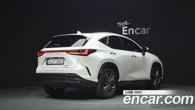 LEXUS NX350H 2024 — 42 607 км, белый, Корея — под ключ — фото 2