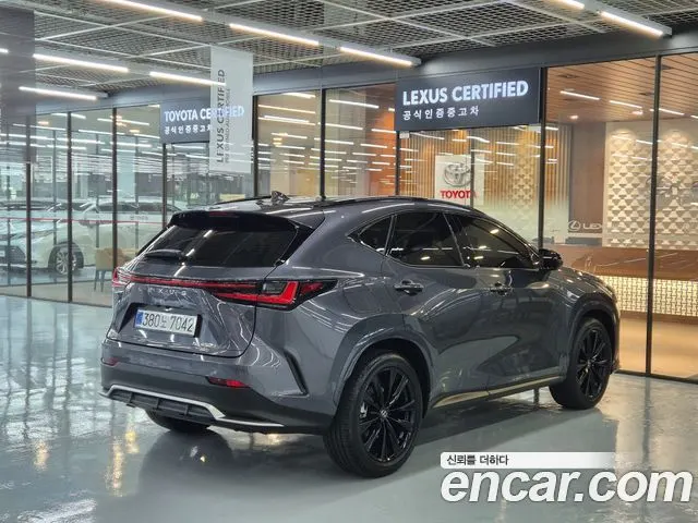 LEXUS NX450H+ 2025 — 21 424 км, серый, Корея — под ключ — фото 2